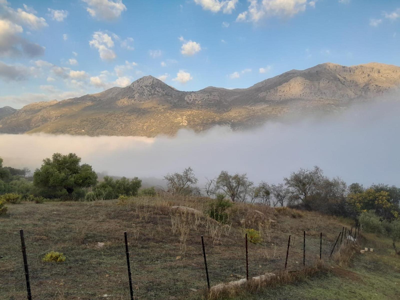 Jimera de Líbar El Higueron 빌라 외부 사진